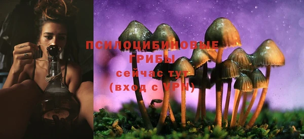 МДМА Армянск