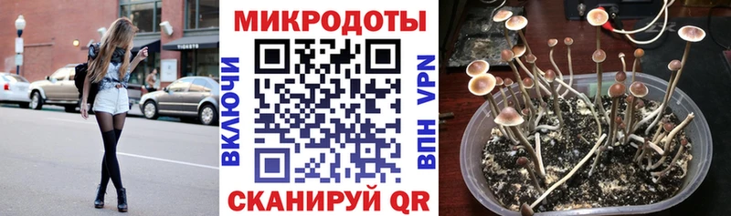 Псилоцибиновые грибы MAGIC MUSHROOMS  Павловский Посад 